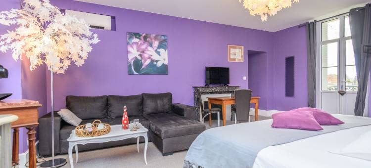 维勒讷沃城堡酒店(Château de la Villeneuve)图片