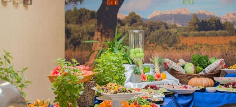 卡斯特尔卢贝龙酒店(Vacances Bleues Hôtel Castel Luberon)图片