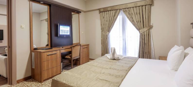 新巴尔图克酒店伊兹密特(New Balturk Hotel Izmit)图片