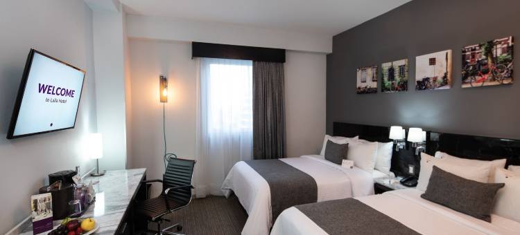 CDMX莱拉酒店(Laila Hotel Mexico City Reforma)图片