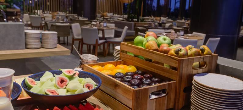 波尔图阿雷格里双杏希尔顿酒店(DoubleTree by Hilton Porto Alegre)图片