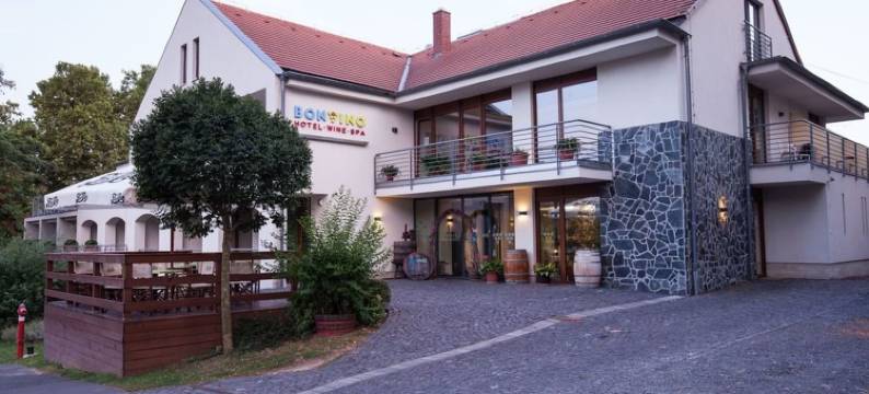 Bonvino葡萄酒和Spa酒店(Hotel Bonvino Wine & Spa)图片