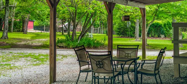 Charming Cottage with Fire Pit and Scenic Views - Tranquil Farm Escape图片