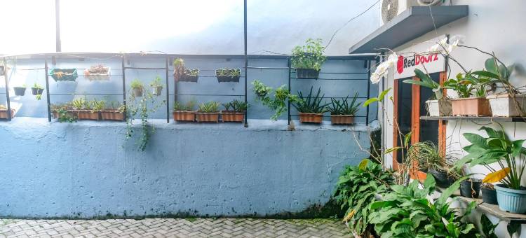 红多兹酒店@科达翁路(RedDoorz @ Jalan Kedawung)图片