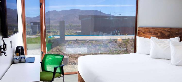 瓦勒纳尔罗斯奥利弗丽柏酒店(Park Inn by Radisson Los Olivos de Vallenar)图片