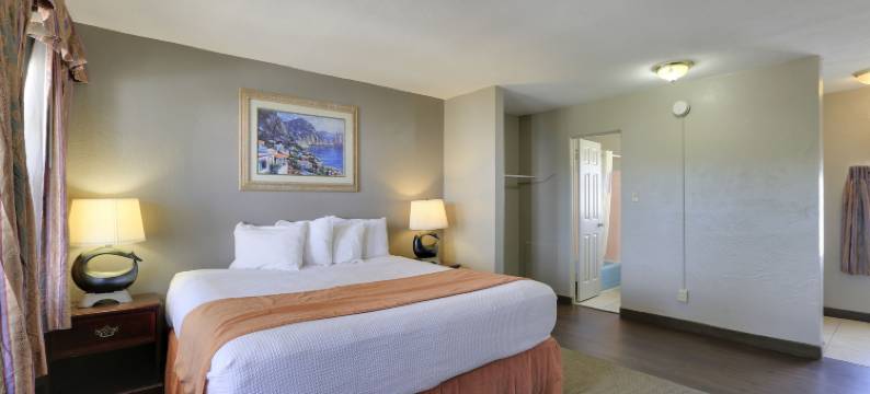 圣彼得斯堡伊克诺旅馆(Econo Lodge St Petersburg Central)图片