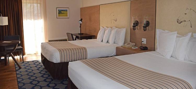 雷克维尔因特拉肯旅馆(Interlaken Inn)图片