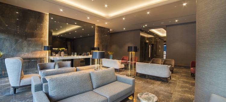 瓦迪斯坦布尔丽笙精选酒店(Radisson Collection Hotel Vadistanbul)图片
