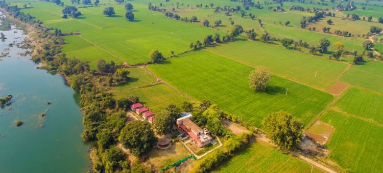 潘纳葛里托露营酒店(Greetoe Camp Panna)图片