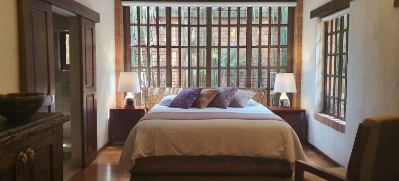 卡萨奥雷亚(Casa Aurea Hotel Boutique)图片