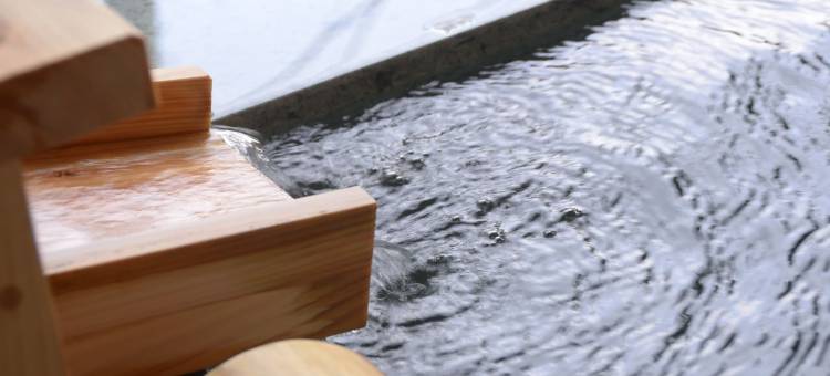 箱根小涌园三河屋旅馆(Hakone Kowakien Mikawaya Ryokan)图片
