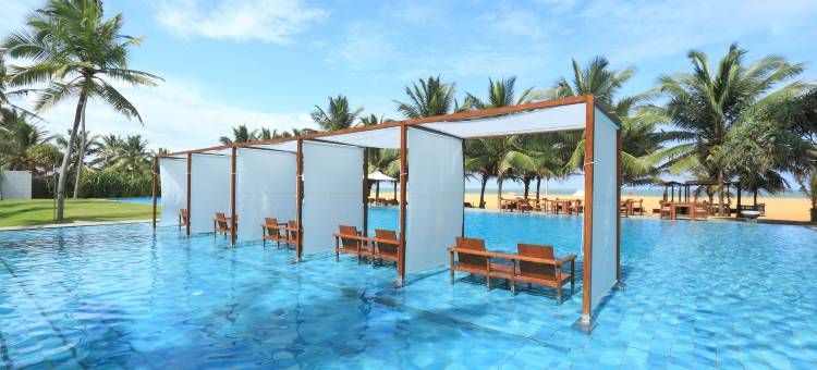 蓝色捷翼(Jetwing Blue)图片