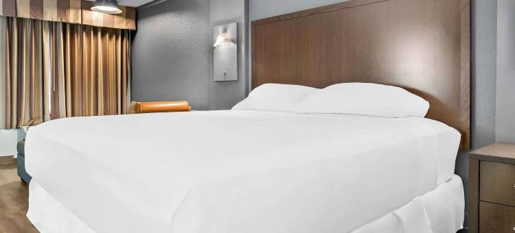 罗德威套房酒店(Rodeway Inn & Suites)图片