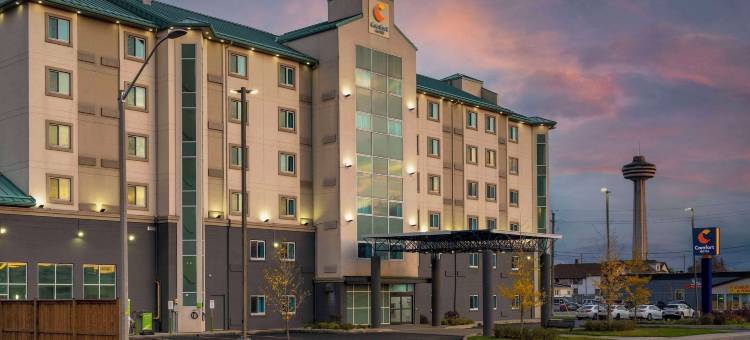 舒适酒店(Comfort Hotel)图片