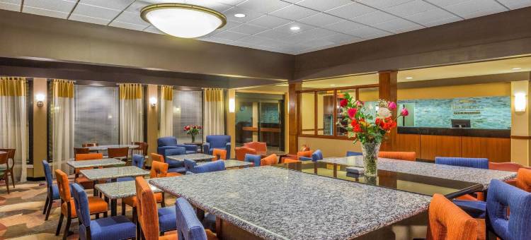 罗斯韦尔-邓伍迪舒适酒店(Comfort Inn Roswell-Dunwoody)图片