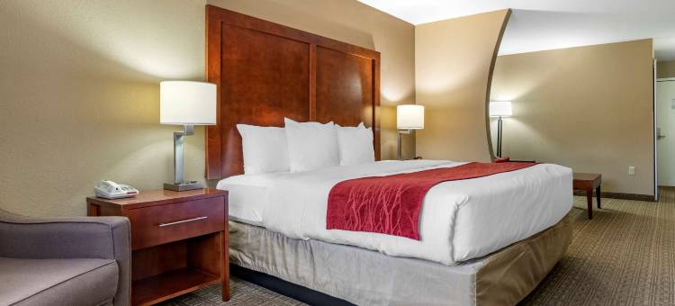 利兹I-20舒适套房酒店(Comfort Inn & Suites Leeds I-20)图片