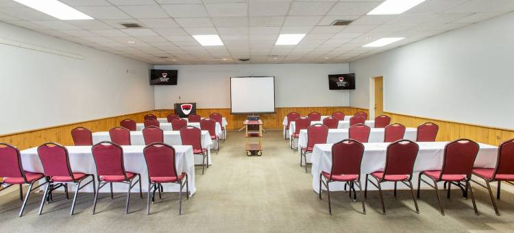 复古酒店(The Vintage Hotel)图片