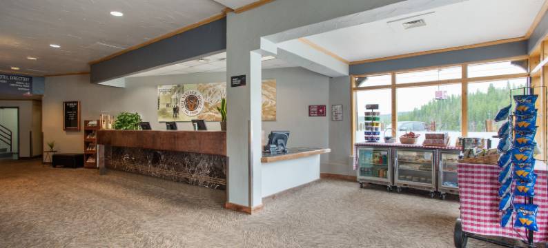 复古酒店(The Vintage Hotel)图片