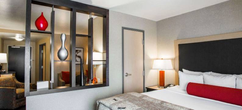 拉皮德城坎布里亚酒店-靠近拉什莫尔山(Cambria Hotel Rapid City Near Mount Rushmore)图片