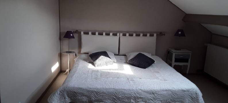 贝尔维尼耶雷酒店(La Belvinière)图片