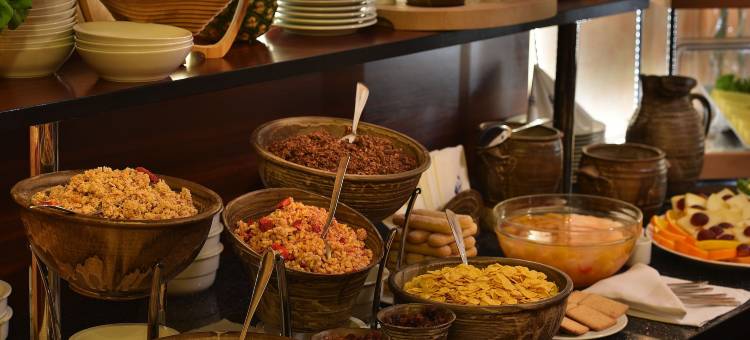 杰利尼杜尔EA酒店(EA Hotel Jeleni Dvur Prague Castle)图片