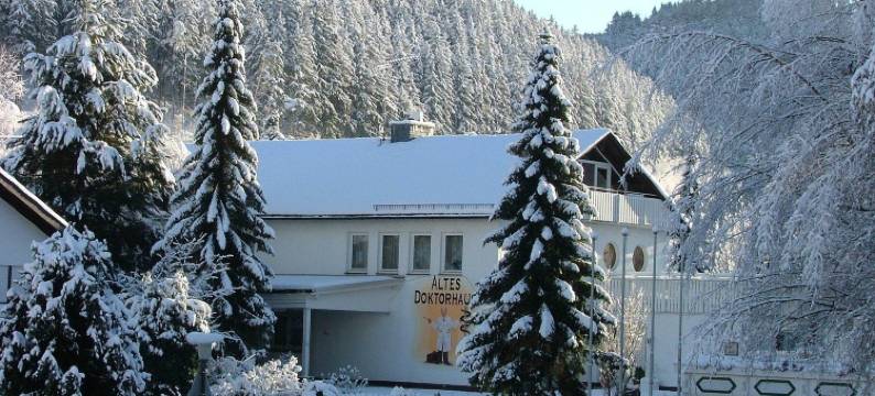 阿尔特斯多克托尔豪斯酒店(Altes Doktorhaus - Hotel Garni)图片