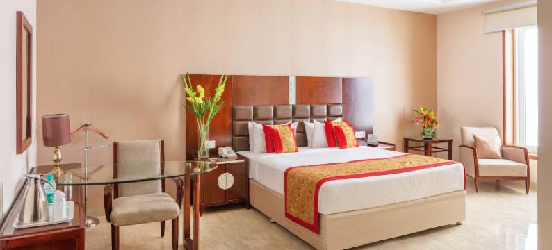 奥恰宫酒店和会议中心(Orchha Palace and Convention Centre)图片