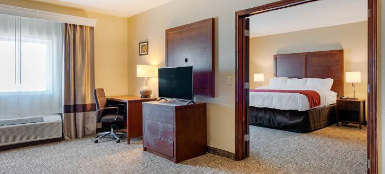 康福特酒店及套房密歇根城南部(Comfort Inn & Suites Michigan City South)图片