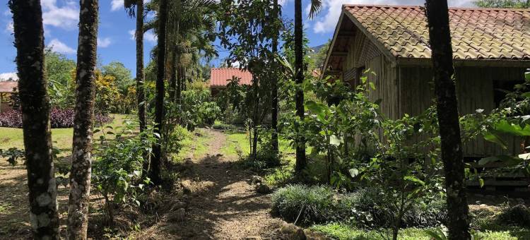 圣塔玛莉亚火山旅馆(Santa Maria Volcano Lodge Hotel & Restaurante)图片