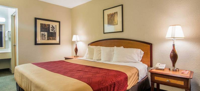 伊克诺套房旅馆-会议中心(Econo Lodge Inn & Suites Conference Center Dublin)图片