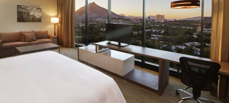 智选假日套房酒店蒙特雷广场TANARAH(Holiday Inn Express & Suites Monterrey Valle)图片