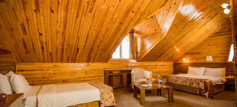 帕兰多肯德德曼度假村(Dedeman Palandoken Resort Hotel)图片