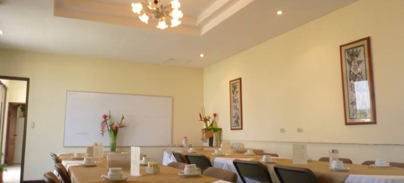 广场真正公寓及套房饭店(Hotel Plaza Real Suites & Apartments San Jose)图片