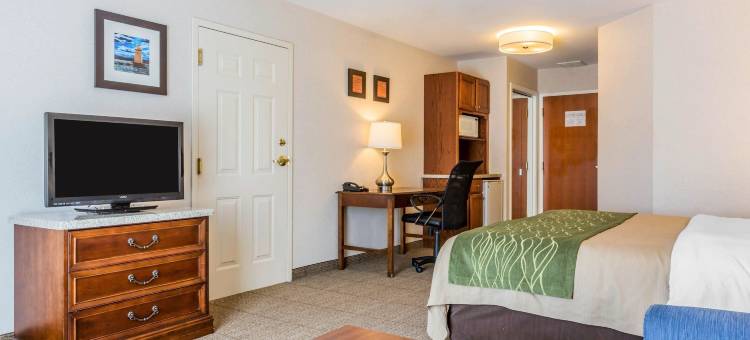 伯灵顿南舒适套房酒店(Comfort Inn & Suites)图片