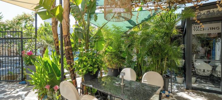 博德鲁姆阿图克酒店(Artunc Hotel Bodrum)图片