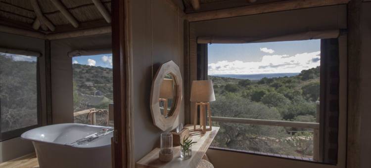 布克拉野生动物旅馆 - 阿马卡拉野生动物保护区(Bukela Game Lodge - Amakhala Game Reserve)图片