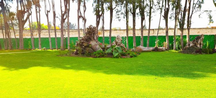 乔卢拉考古别墅酒店(Villas Arqueologicas Cholula)图片