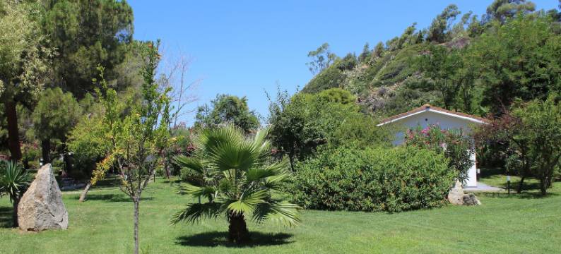 BV 卡拉菲欧里塔度假村(BV Kalafiorita Resort)图片