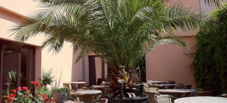 艺术生活酒店(Hotel Arte Vida Ohg)图片