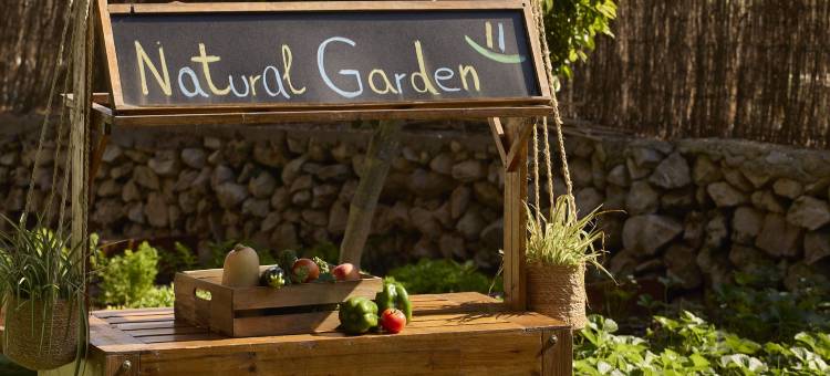 美利亚卡拉加尔达纳酒店(MELIÁ Cala Galdana)图片