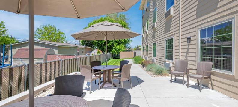 舒适套房酒店-摩根(Comfort Inn & Suites Morgan)图片