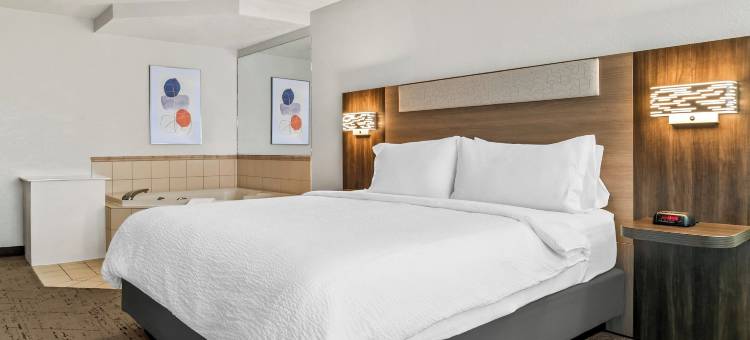 Holiday Inn Express 拉皮尔(Holiday Inn Express Lapeer)图片