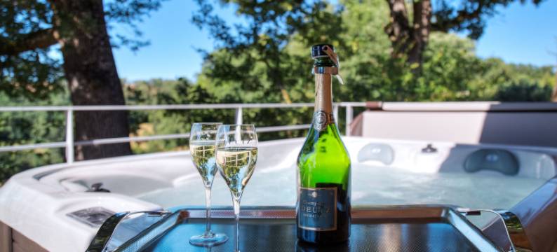 纳泽尔度假屋(Gîte Domaine de Nazère)图片