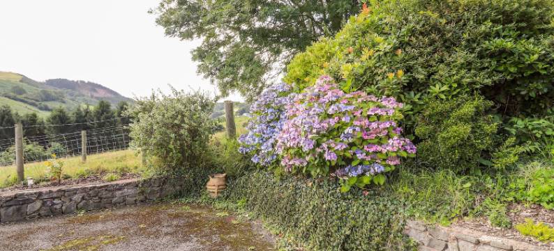 果恩泰诺酒店(Gwern Tyno)图片