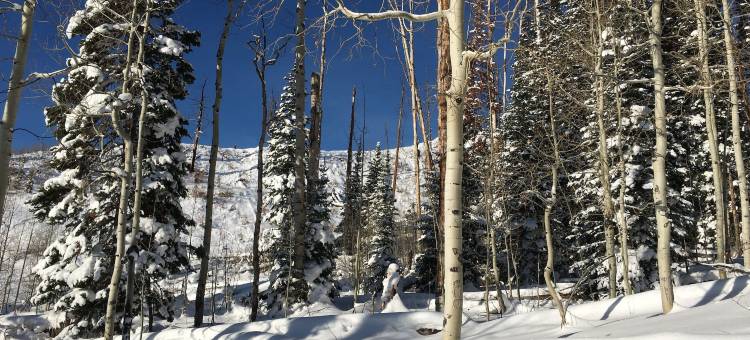 维京旅馆 - 科罗拉多冬季公园市中心(The Viking Lodge - Downtown Winter Park Colorado)图片