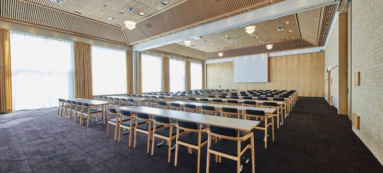 霍森斯欧普斯斯堪迪克(Scandic Opus Horsens)图片