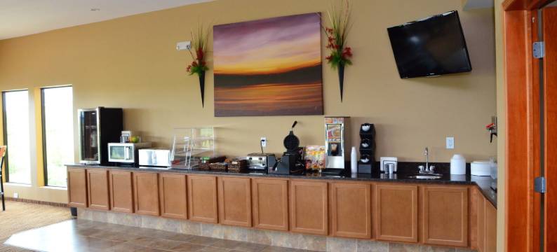 鹅卵石套房酒店 - 牛顿(Cobblestone Inn & Suites - Newton)图片