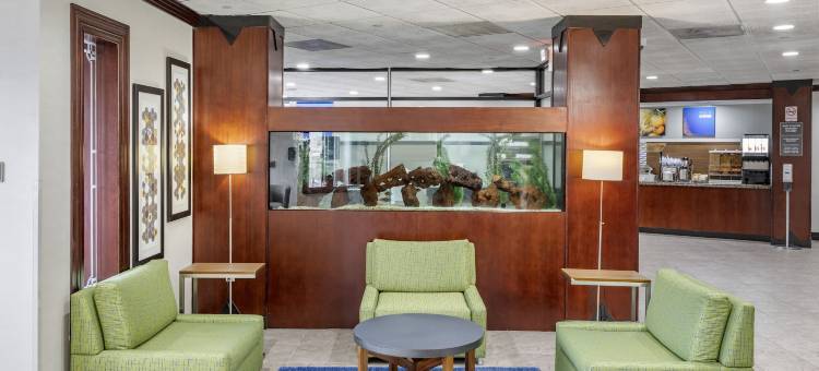 舒适酒店帕拉默斯 - 哈肯萨克(Comfort Inn Paramus - Hackensack)图片