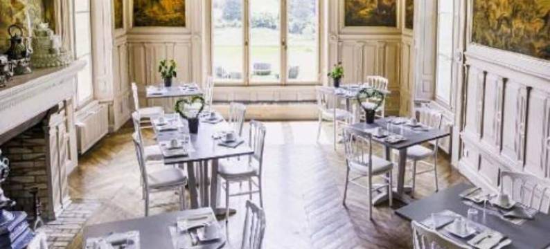 德拉布奇尔庄园酒店(Château de La Bûcherie)图片