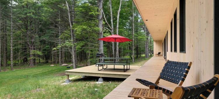 100英尺森林之光 - 现代卡茨基尔度假屋(100ft of Forest Light - Modern Catskills Escape)图片